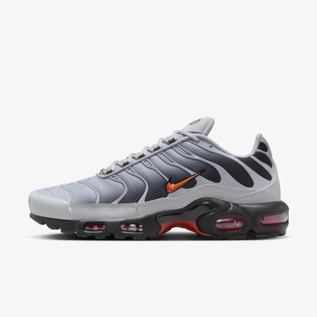 Nike Air Max TN (Wolf Grey)